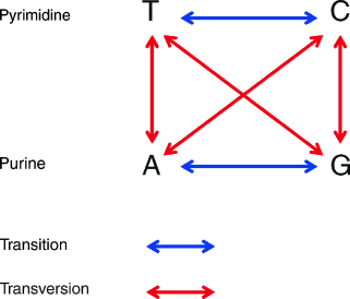 figure 21