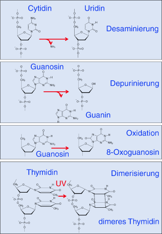 figure 23