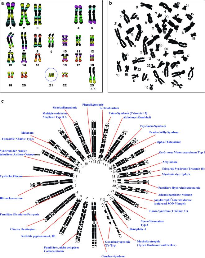 figure 25