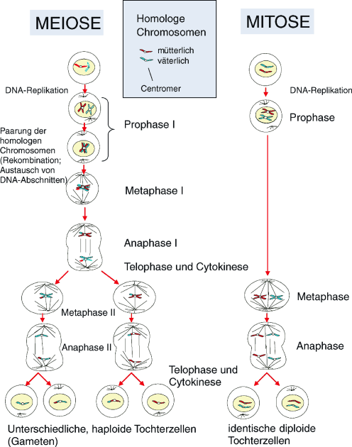 figure 26