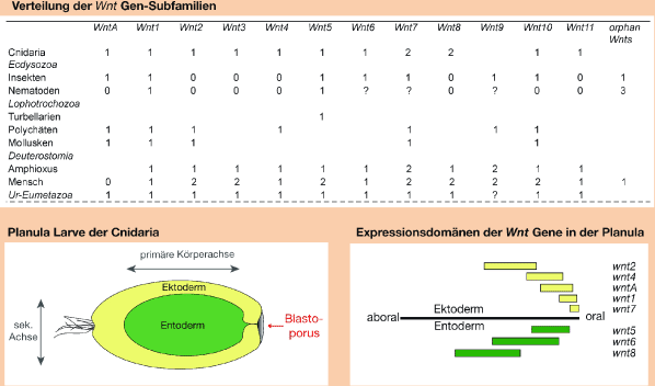 figure 35