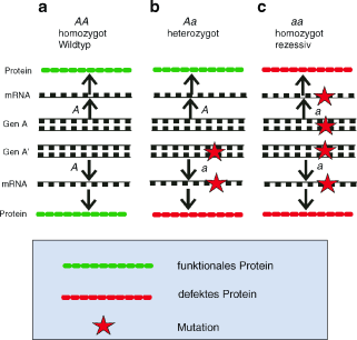 figure 42