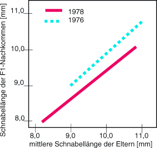 figure 46