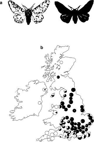 figure 47