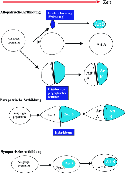 figure 49