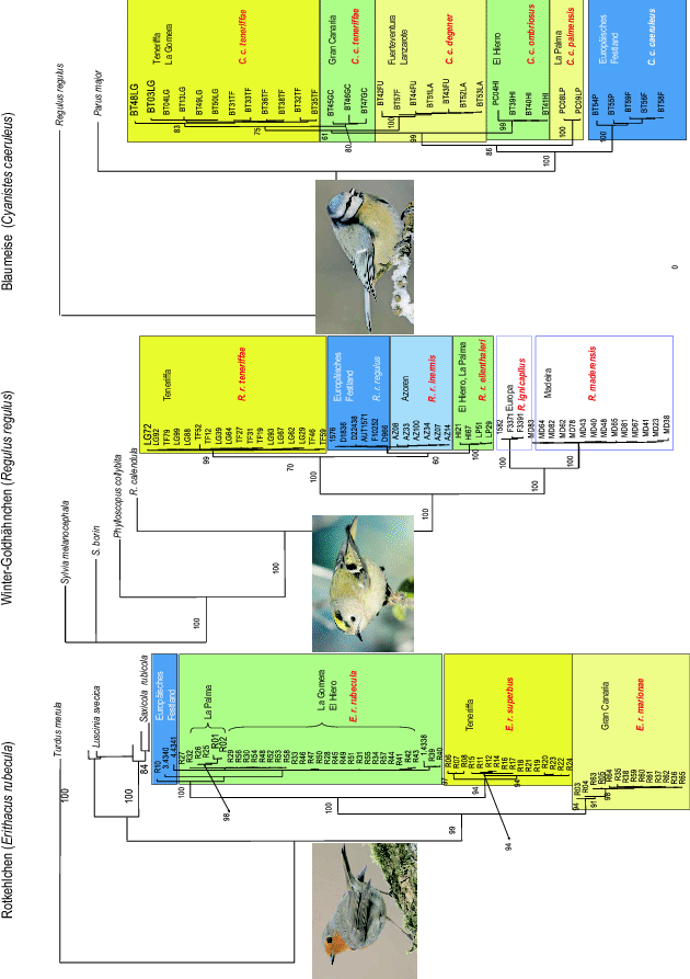 figure 51