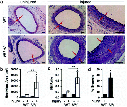 figure 00231