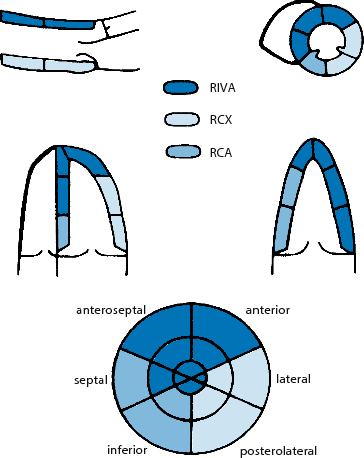 figure 115