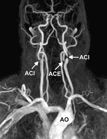 figure 24