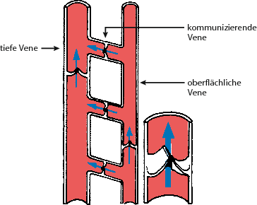 figure 28