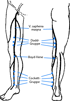 figure 29