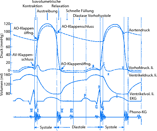 figure 34