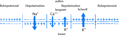 figure 37