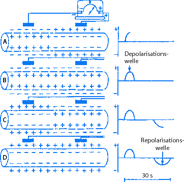 figure 38