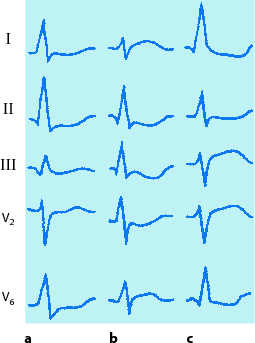 figure 49