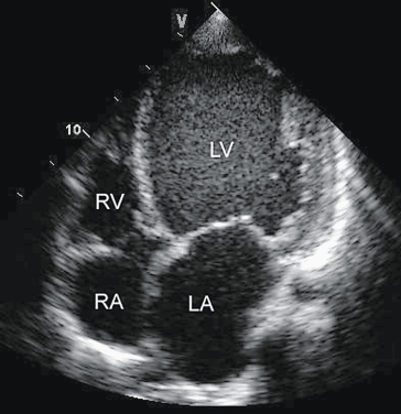 figure 63