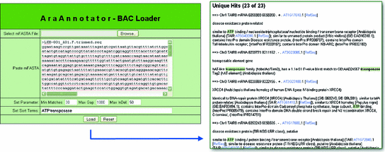 Other Programming Languages Springerlink