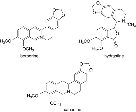 figure 24