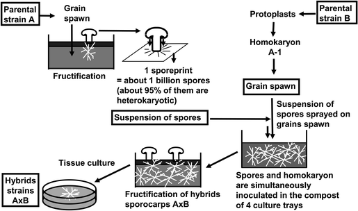 figure 00013