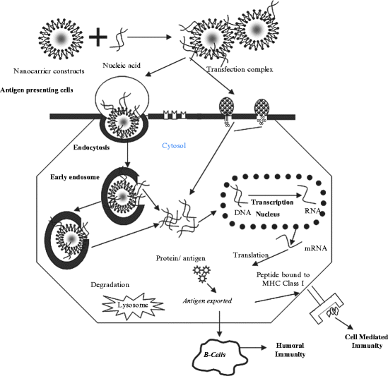 figure 00044