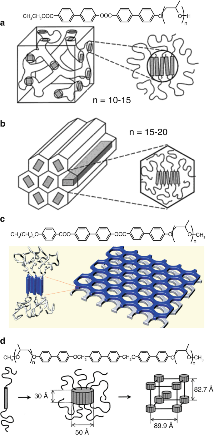 Structure and Assembly of Liquid Crystalline Block Copolymers