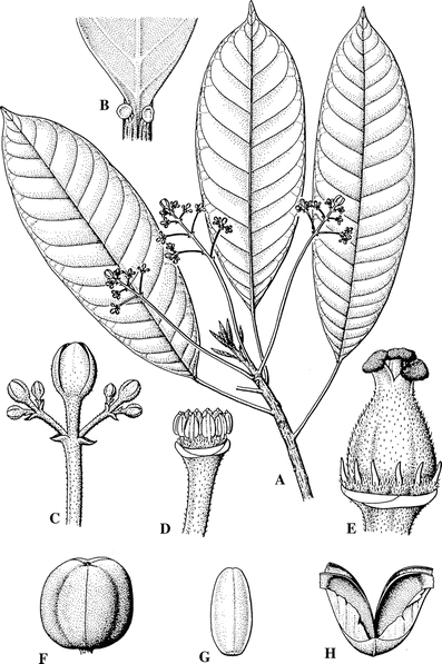 figure 27