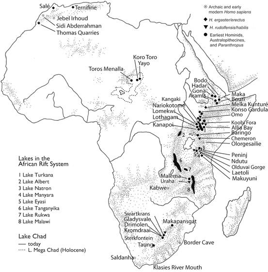 homo habilis map