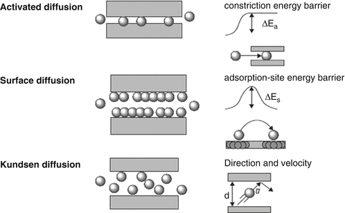 Diffusion in Membranes | SpringerLink