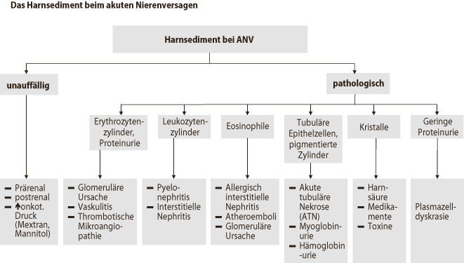 befestigung fr blumenksten auf fensterbank Blumenkastenhalterung mit Haltebgel f. Fensterbnke Edelstahl ohne Bohren