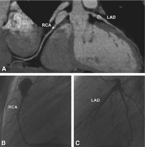 figure 24