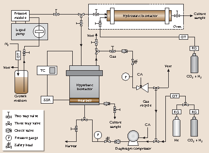 figure 42