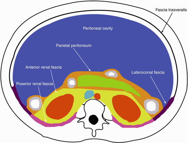 Normal Radiological Anatomy of the Retroperitoneum | SpringerLink