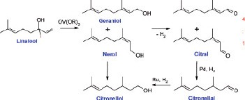 Saraswati Fragrance Oil – Breathe Inspiring Gifts