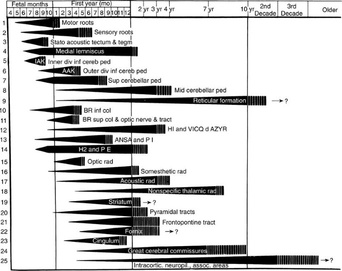 figure 38