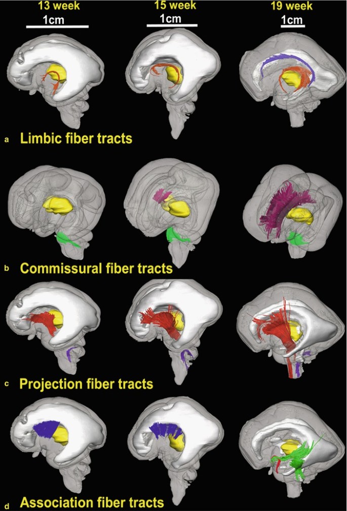 figure 40