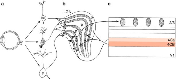 figure 26