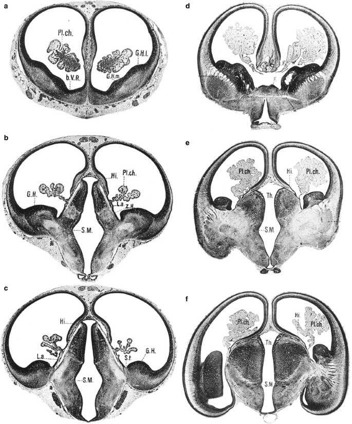 figure 28