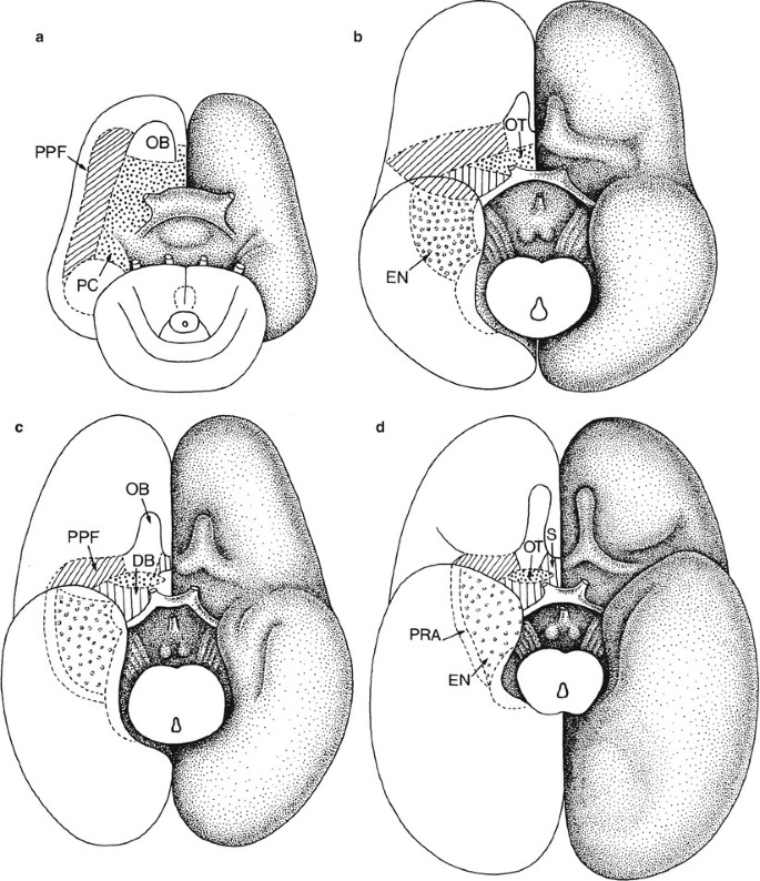 figure 37