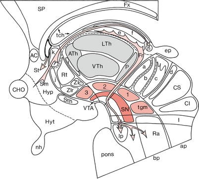 figure 62