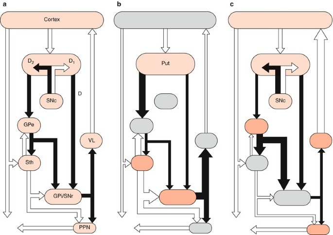 figure 65