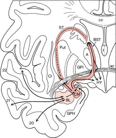 figure 70