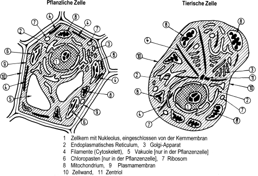 figure 29