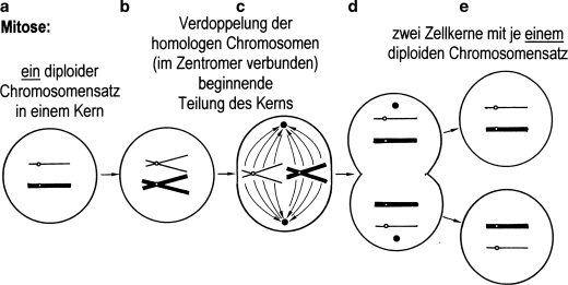 figure 32