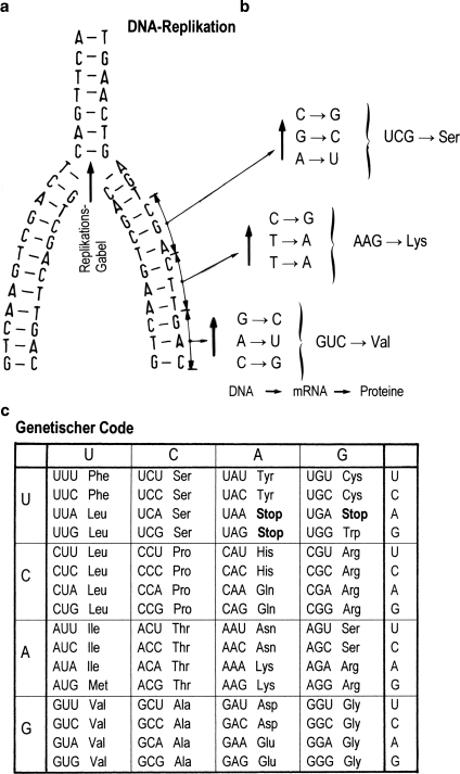 figure 34