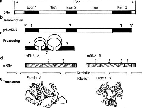 figure 37