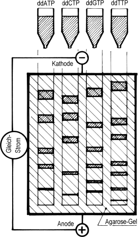 figure 49