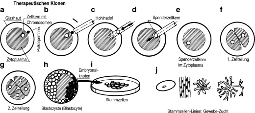 figure 52