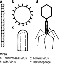 figure 53