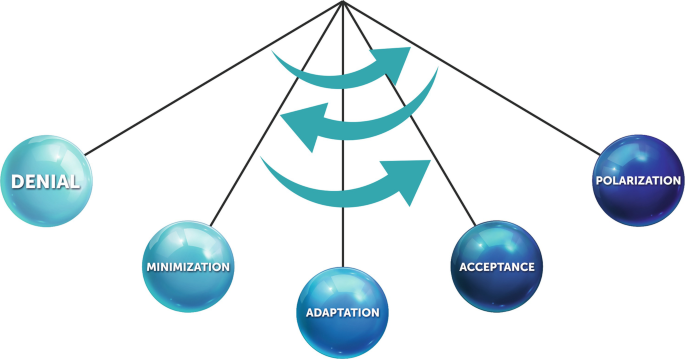 Five developmental stages of I D C are represented by the oscillation of a pendulum. The stages are labeled as Denial, Minimization, Adaption, Acceptance, and Polarization from left to right. Three arrows, one from right to left and the other two from left to right denote the pendulum's oscillation.