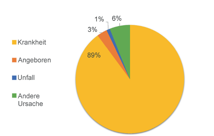 Das farbige Kreisdiagramm zeigt die prozentuale Verteilung von Behinderungsursachen nach Schwerbehindertenstatistik. Der größte Teil ist gelb unterlegt und zeigt, t, dass 89 % der anerkannten Schwerbehinderungen durch Krankheiten entstehen. Jeweils schmale Kreissektoren verdeutlichen weitere Ursachen von Behinderung: drei Prozent sind angeboren (orange), ein Prozent geht auf Unfälle zurück (blau) und bei sechs Prozent liegt eine andere, nicht benannte Ursache zugrunde (grün).